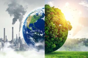 Warum Kohlenstoffemissionen und Artenvielfalt nicht in getrennten Silos bleiben können