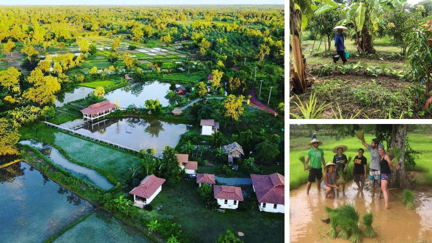 Suwan Farmstay Bio-Bauernhof in Nong Khai, Nordostthailand