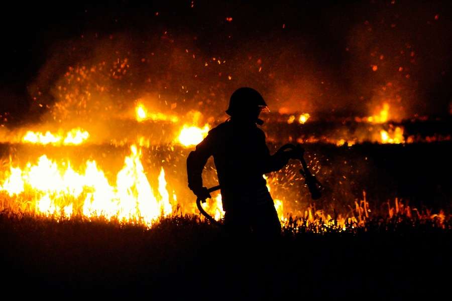 Over 75% of UK wetlands have been destroyed – restoring them would help prevent wildfires