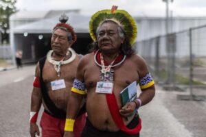 Der Amazonas braucht keine neuen Herren