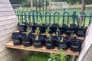 Der akademische und preisgekrönte Münzexperte aus Chester baut die Biodiversitätsinitiative der Schulen aus