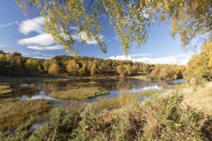 Neue Umfragen zeigen, dass die Öffentlichkeit die Wiederherstellung der Natur unterstützt, um Großbritannien vor extremen Wetterbedingungen zu schützen