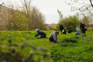 Projekt zur Schaffung wilder Räume für Schmetterlinge und Motten in ganz Leeds