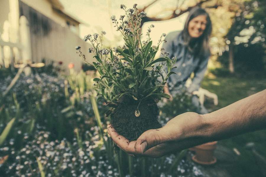There’s something you can do now to cool your home next summer – and it’s far cheaper than air conditioning