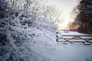 Warum winterliche Kälteeinbrüche milder werden
