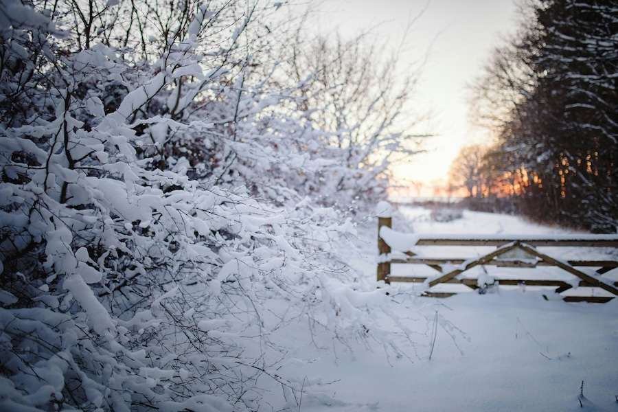 Why winter cold spells are getting milder
