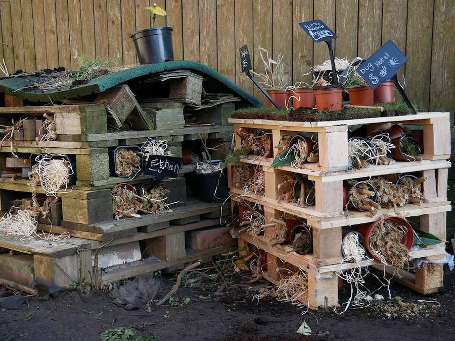 Scientists find small gardens are a big barrier to supporting nature – but better planning could protect UK wildlife