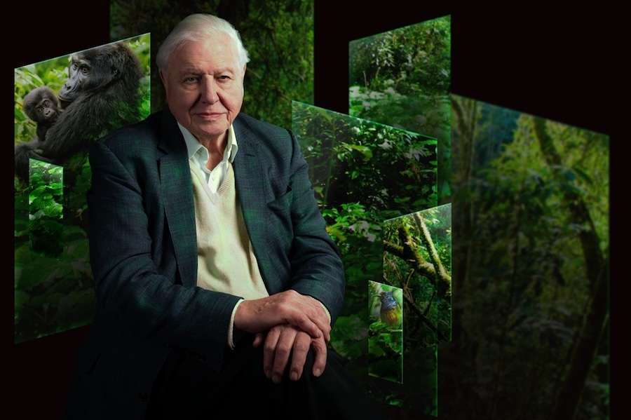 Chester Zoo to bring Sir David Attenborough