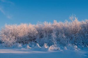Es entwickelt sich immer noch ein rekordverdächtiger El Niño, der wahrscheinlich einen kalten Winter nach Großbritannien bringen wird