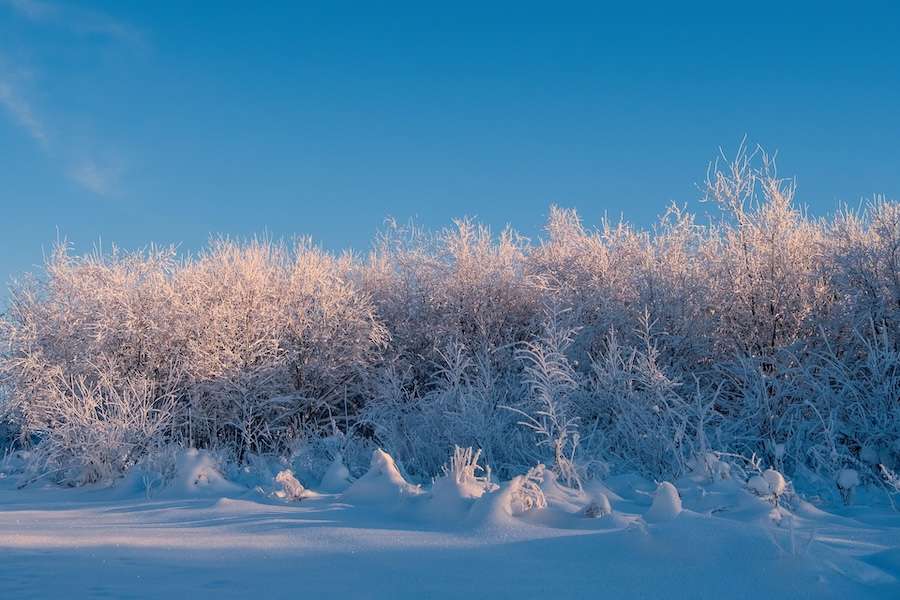 A record‑breaking El Niño is still developing – likely bringing a cold winter to the UK