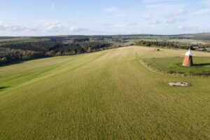 National wichtige Schmetterlingsarten Small Blue und Dingy Skipper wurden zum ersten Mal im Renaturierungsprojekt Halnaker Hill Farm gefunden