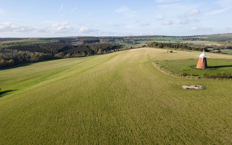 Nationally important Small Blue and Dingy Skipper butterfly species found for the first time at Halnaker Hill Farm renaturing project